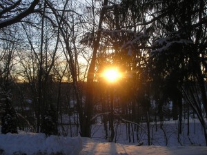 dimmer evening sun shining through dark snow-covered trees