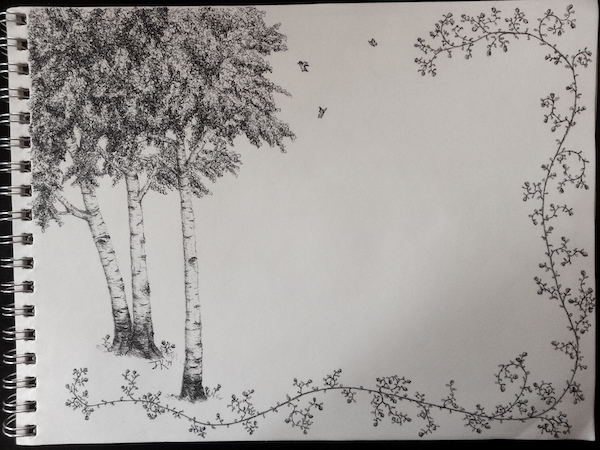 line drawing of birch trees and flower vines on a sketchpad