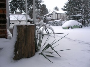 stump, bent-over plant, car, houses, all smothered in a layer of snow