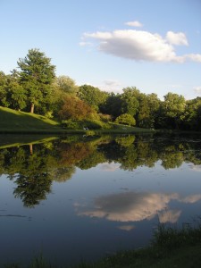 Lake Mirror Vassar's sunset lake in July, water still and perfectly reflecting the green trees and a puffy white cloud