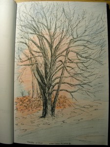 _bare-limbed tree in black pen, red haze of another tree behind it in colored pencil, orange-red leaves on the ground near both, and blue-gray clouds_